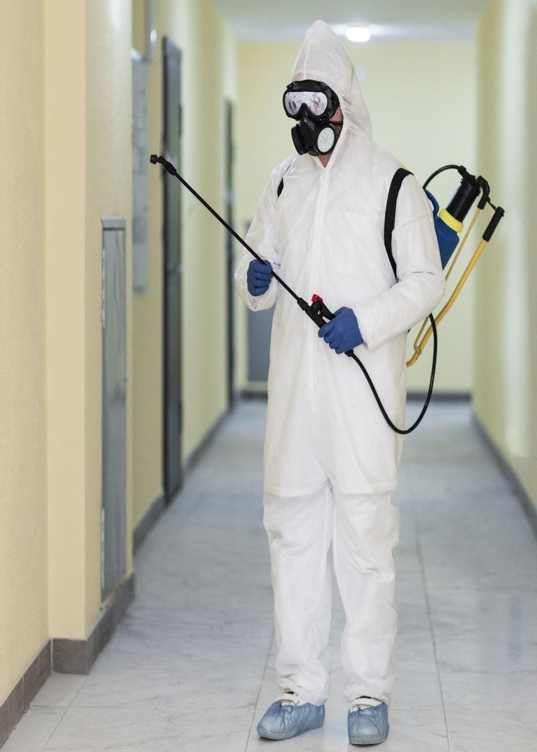 ddetizacao-em-condominio3